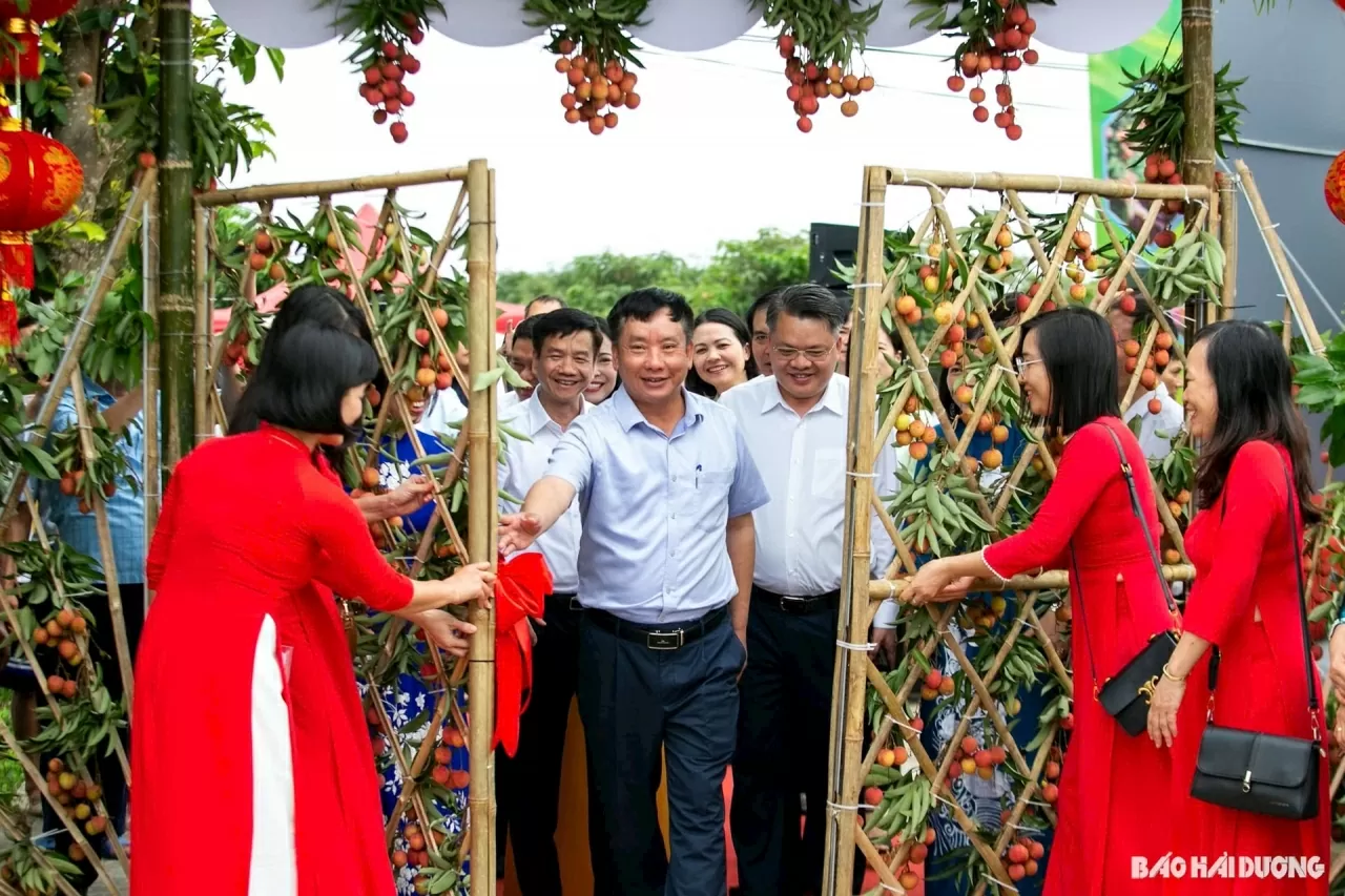 Boosting the brand of Thanh Ha lychees: A proud symbol of the creative and industrious spirit of Hai Duong’s people