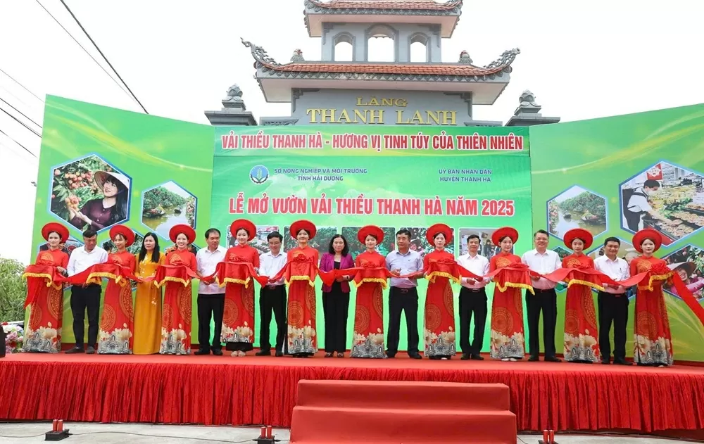 Boosting the brand of Thanh Ha lychees: A proud symbol of the creative and industrious spirit of Hai Duong&rsquo;s people