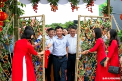 Nâng cao nhận diện thương hiệu vải thiều Thanh Hà - biểu tượng tinh thần lao động sáng tạo của người dân Hải Dương