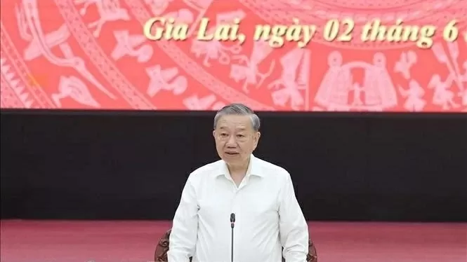 Merger to turn Gia Lai into a growth pole of Central-Central Highlands region: General Secretary To Lam