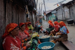 Panama: Biến đổi khí hậu, một hòn đảo có nguy cơ biến mất do nước biển dâng cao