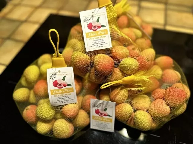 First Thanh Ha lychees from Hai Duong arrive in Paris, marking new chapter for Vietnam's agricultural exports