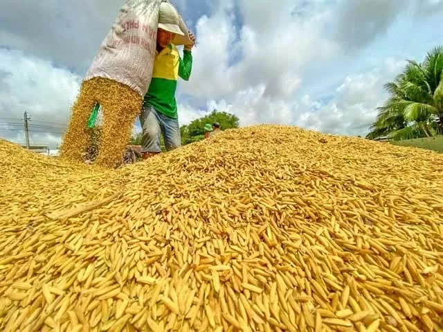 Vietnam to export first batch of green and low-emission Vietnamese rice: VIETRICA