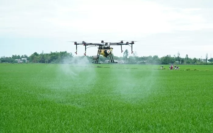 Bac Ninh promotes green, sustainable agricultural and rural development