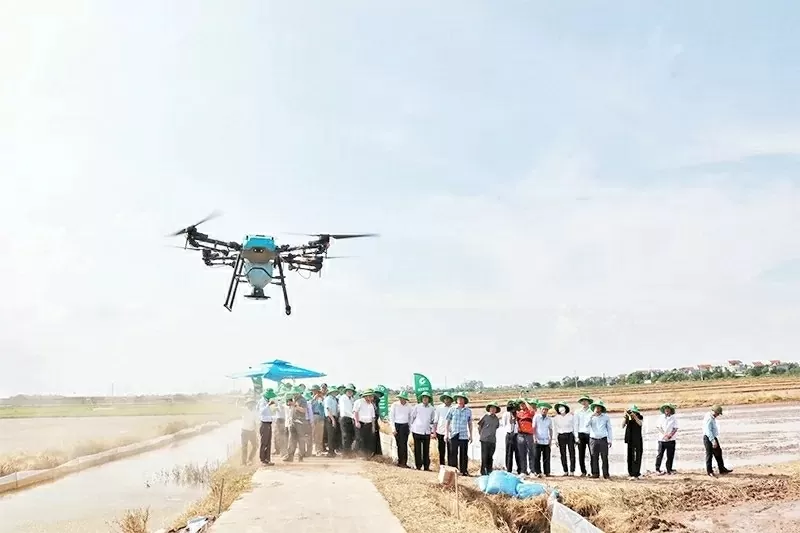 Bac Ninh promotes green, sustainable agricultural and rural development