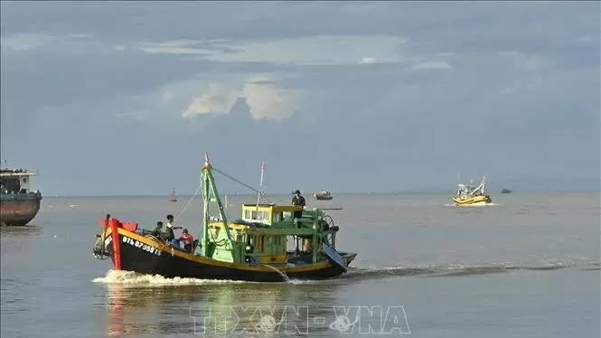 South-central Binh Thuan province begins intensive campaign against IUU fishing