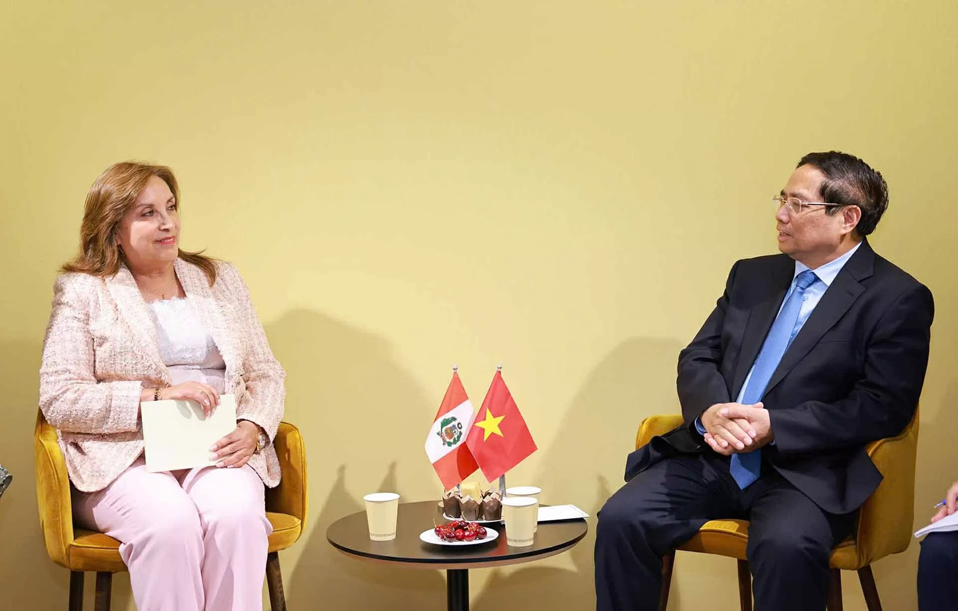 Việt Nam luôn là đối tác quan trọng hàng đầu của Peru ở khu vực Đông Nam Á Việt Nam luôn là đối tác quan trọng hàng đầu của Peru ở khu vực Đông Nam Á