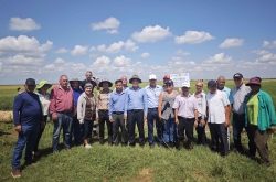 Việt Nam-Cuba phát triển sản xuất lúa gạo: Bốn giống đạt tiêu chuẩn và được đặt tên là ViBa