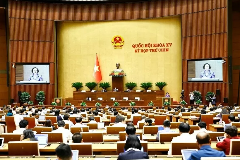 National Assembly adopts resolution on reorganisation of provincial-level administrative units