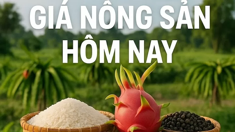 Giá nông sản hôm nay 14/6/2025: Cà phê có thể gặp bất lợi ở Mỹ, 'mối lo ngại' của giá tiêu; tạo cơ chế thông quan khẩn cấp qua cửa khẩu Việt-Trung