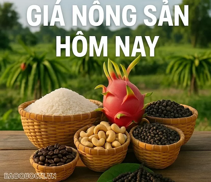Giá nông sản hôm nay 14/6/2025: Cà phê có thể gặp bất lợi ở Mỹ, 'mối lo ngại' của giá tiêu;