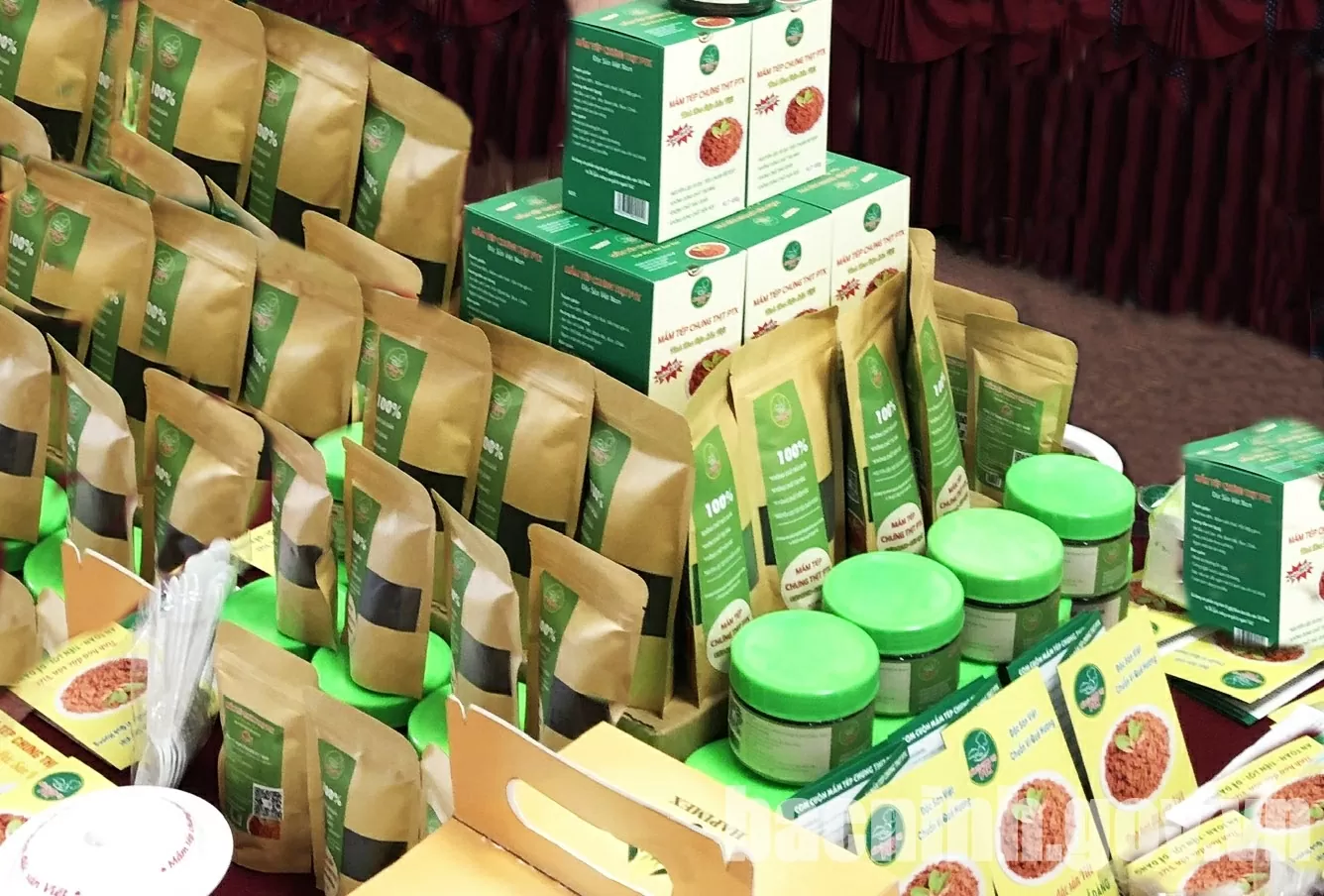Sản phẩm thịt sào mắm ruốc PTK và mắm tép chưng thịt PTK của Công ty TNHH PTK 879 Việt Nam. (Nguồn: Cổng Thông tin điện tử Bắc Ninh)