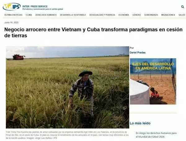 Vietnam–Cuba rice partnership sets new model for sustainable food security: Cuba’s Inter Press Service