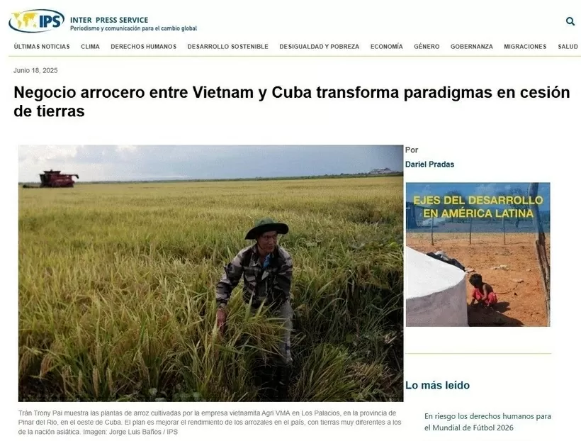 Vietnam–Cuba rice partnership sets new model for sustainable food security: Cuba’s Inter Press Service