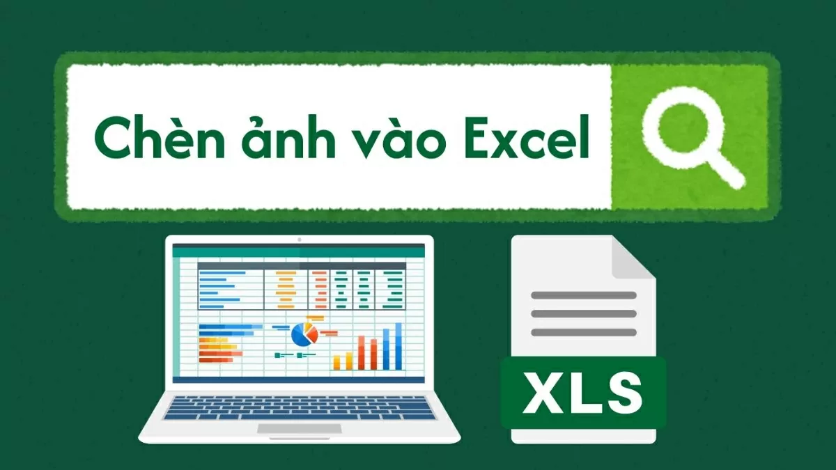 Cách chèn ảnh vào Excel vừa ô nhanh chóng và dễ dàng.