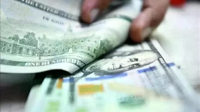 Reference exchange at 25,031 VND on June 20, up 6 VND