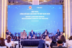 Công bố Báo cáo Kinh tế Việt Nam 2025