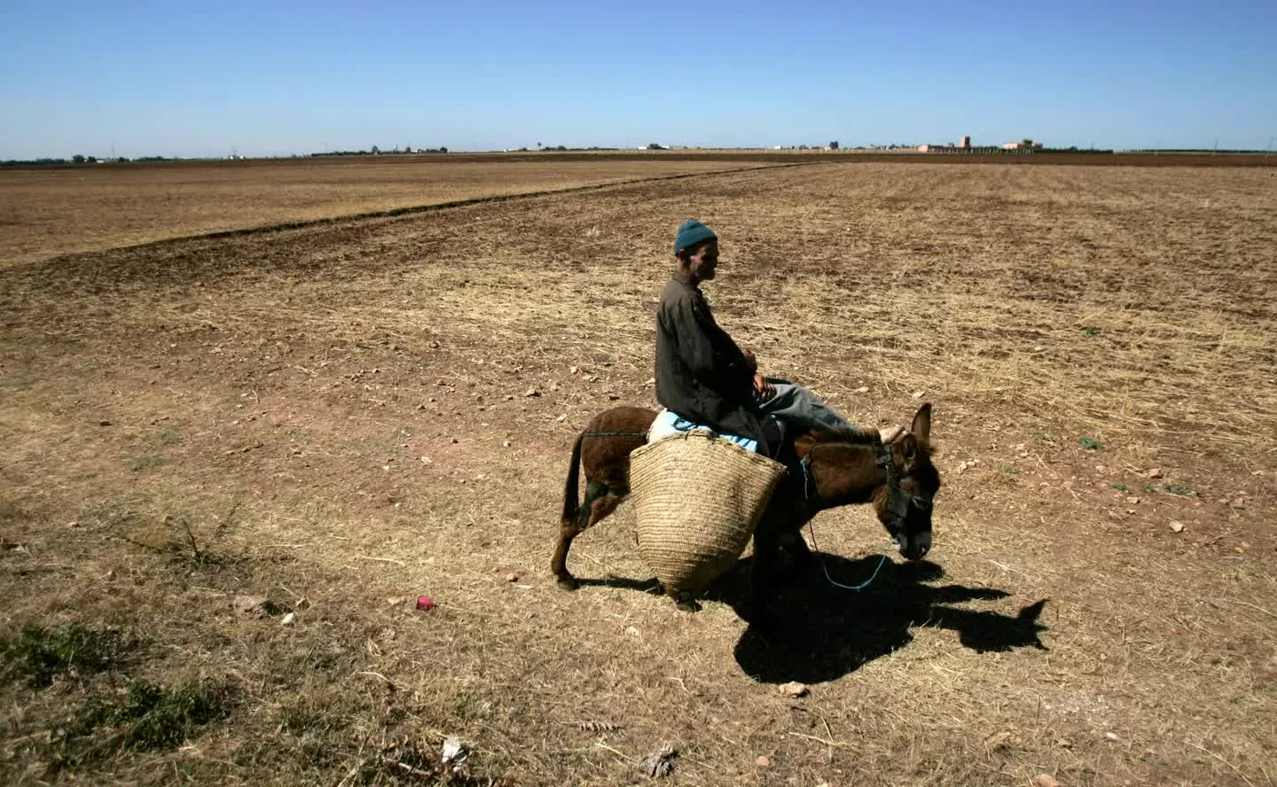 Cơ quan khí tượng Morocco công bố về năm nóng nhất lịch sử Cơ quan khí tượng Morocco công bố về năm nóng nhất lịch sử