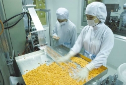 Vietnam’s pharmaceutical sector sees surge in major M&A activity