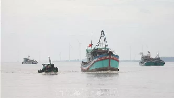 Ben Tre southern province steps up efforts to combat IUU fishing