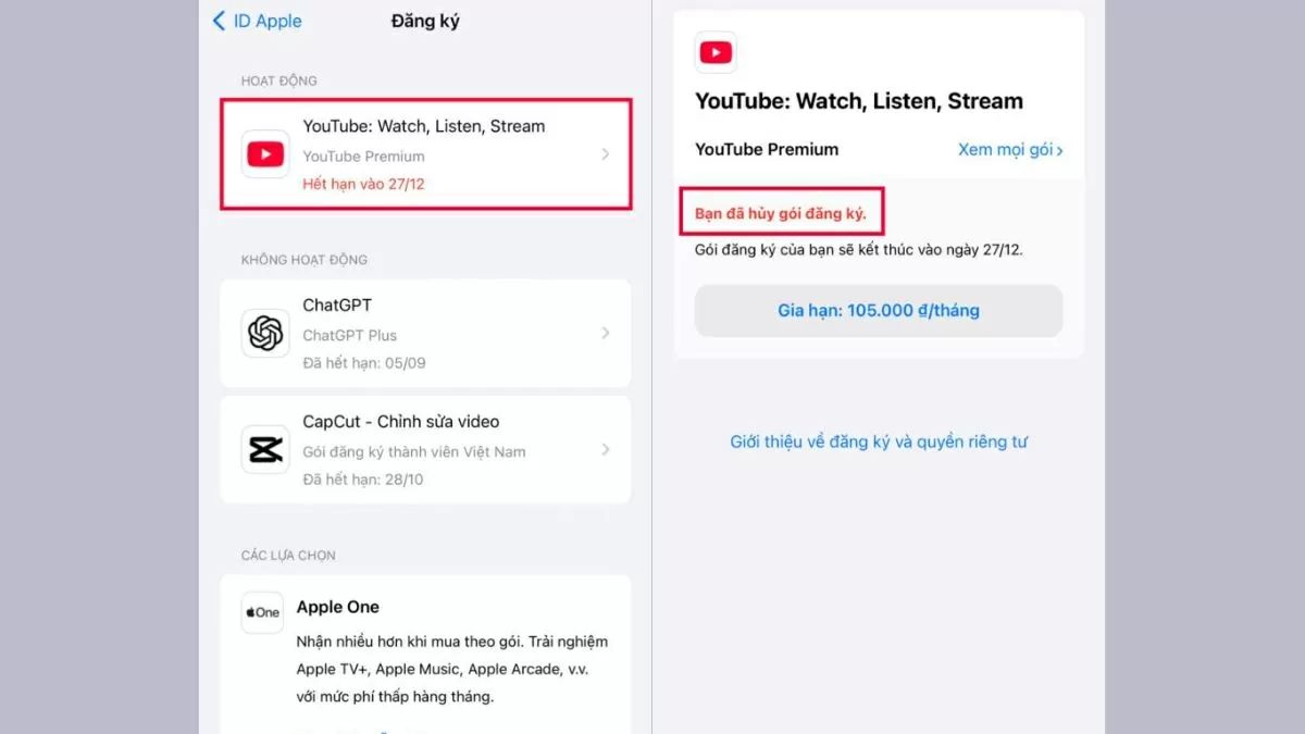 Tìm và chọn YouTube Premium.