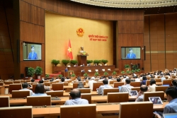 4 nhóm đối tượng chỉ được có một quốc tịch Việt Nam