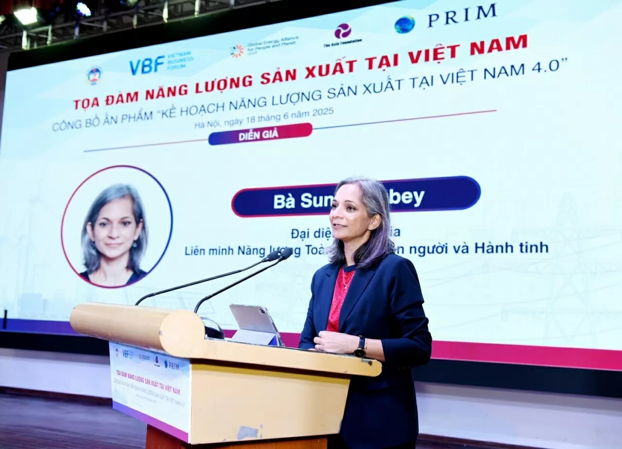 &lsquo;Made-in-Vietnam energy&rsquo; Dialogue with focus on policy, investment and reform