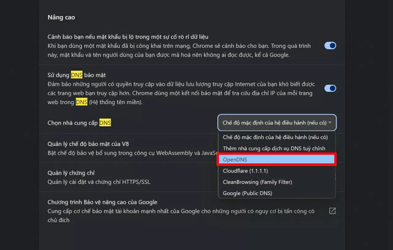 Chọn một trong những nhà cung cấp DNS.