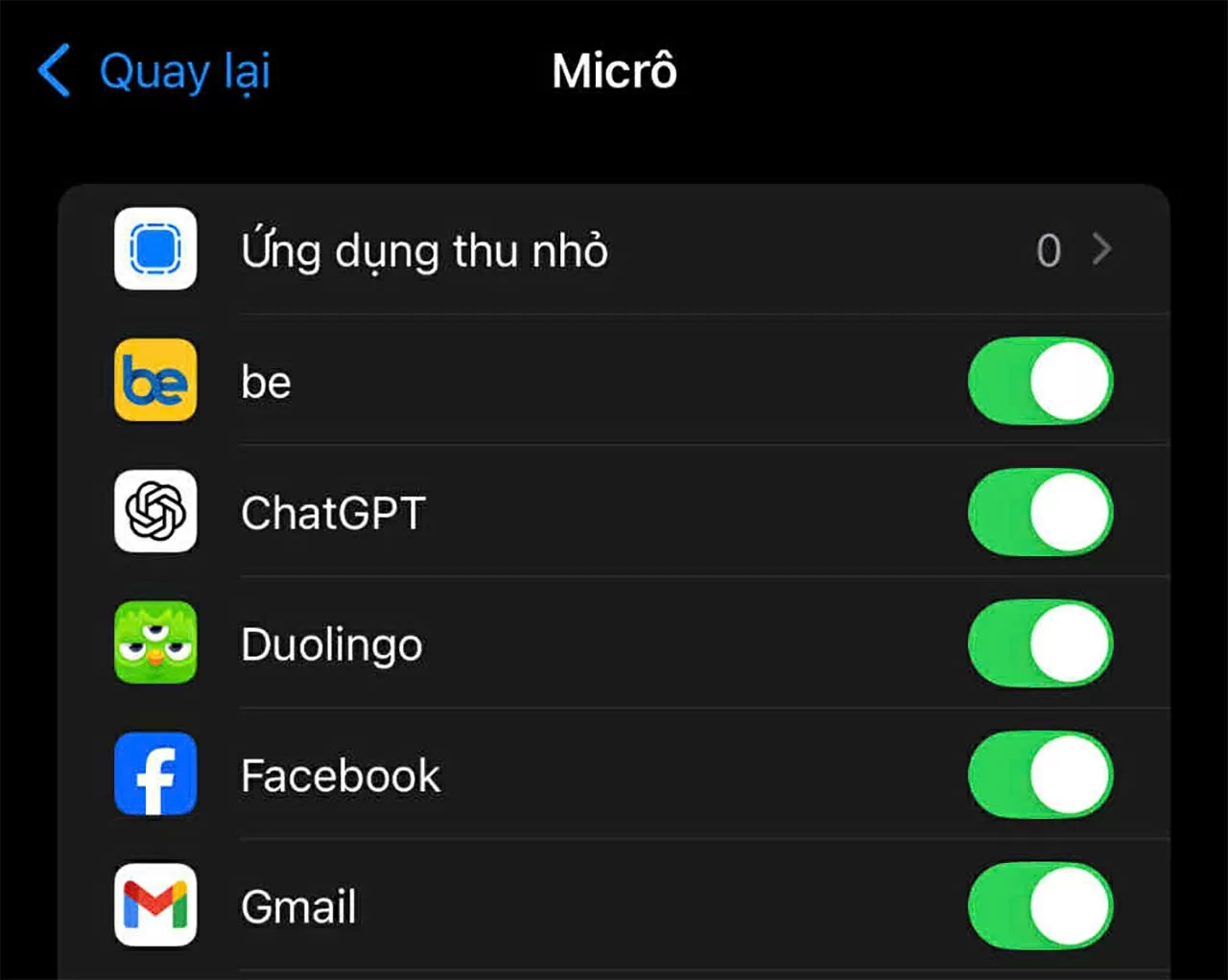 Chọn ứng dụng cần thiết và kích hoạt quyền sử dụng micro .