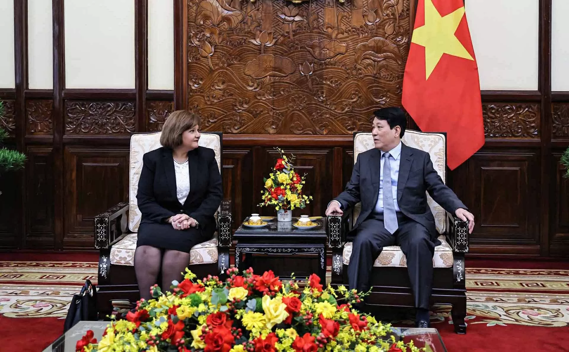 Chủ tịch nước Lương Cường tiếp Đại sứ Ai Cập tại Việt Nam Amal Abdel Kader Elmorsi Salama. (Nguồn: TTXVN)