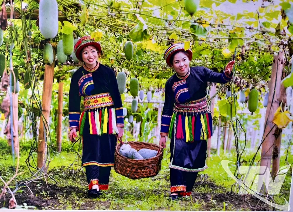 Đưa hồ Ba Bể thành điểm đến du lịch quốc gia và quốc tế Đưa hồ Ba Bể thành điểm đến du lịch quốc gia và quốc tế