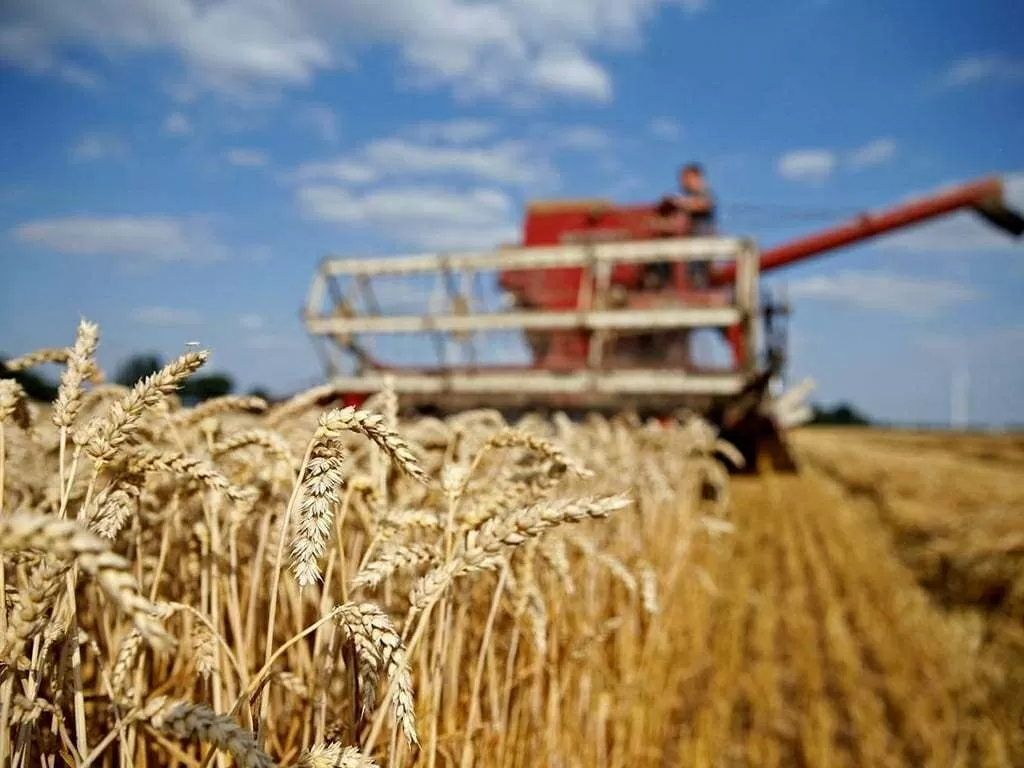 Sau khi cuộc xung đột tại Ukraine bùng phát vào năm 2022, EU đã mở cửa thị trường, tạm thời dỡ bỏ thuế và hạn ngạch đối với hàng hóa nông sản từ Ukraine. (Nguồn: Business Insider) Sau khi cuộc xung đột tại Ukraine bùng phát vào năm 2022, EU đã mở cửa thị trường, tạm thời dỡ bỏ thuế và hạn ngạch đối với hàng hóa nông sản từ Ukraine. (Nguồn: Business Insider)