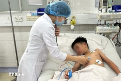 TP. Hồ Chí Minh:  Cảnh báo nguy cơ dịch sốt xuất huyết bùng phát trên diện rộng
