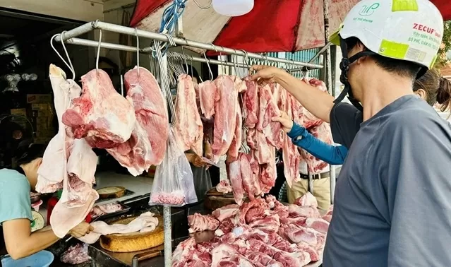 Giá heo hơi hôm nay 14/7: Giá heo hơi hôm nay 14/7: Miền Bắc điều chỉnh giá sau thời gian dài ổn định, miền Nam tiếp tục là điểm sáng