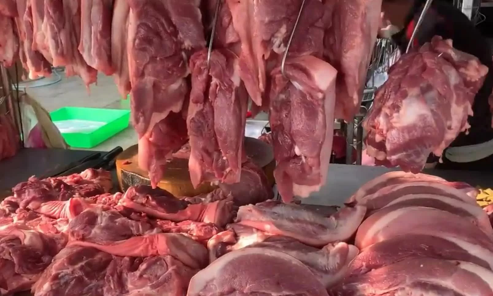 Giá heo hơi hôm nay 15/7: Miền Bắc cao nhất 67.000 đồng/kg, miền Nam ổn định sau thời gian dài giảm liên tục