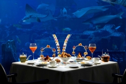 Dubai và giấc mơ thủ phủ ẩm thực toàn cầu
