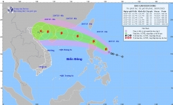 Dự báo diễn biến bão Wipha: Vùng biển phía Đông khu vực Bắc Biển Đông có gió giật cấp 9, sóng cao đến 3,5m
