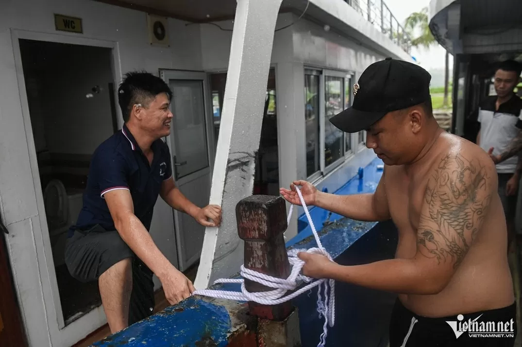 Tàu du lịch Quảng Ninh neo đậu tránh bão Wipha