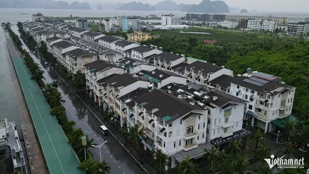 Tàu du lịch Quảng Ninh neo đậu tránh bão Wipha (bão số 3)