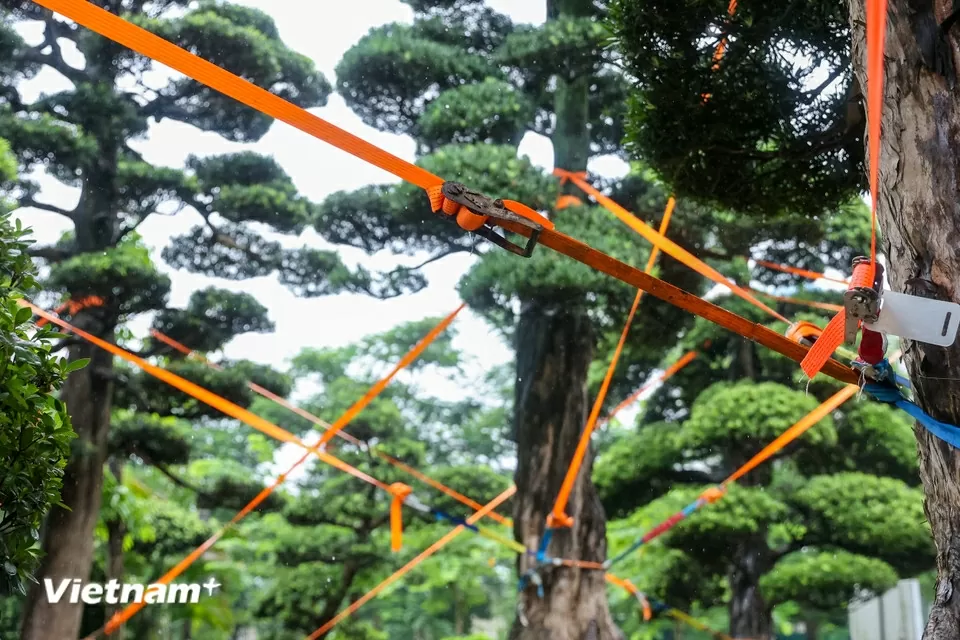 Ứng phó bão số 3, người Hà Nội chủ động gia cố nhà cửa, tài sản
