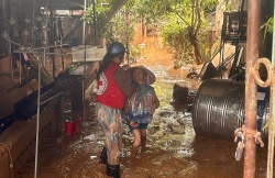 Gần 650 triệu đồng cứu trợ khẩn cấp người dân vùng lũ Nghệ An