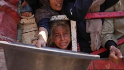 Tình hình Dải Gaza: Hải quân Israel chặn tàu cứu trợ, Australia chỉ trích gay gắt Tel Aviv vi phạm luật pháp quốc tế
