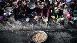 Nạn đói ở Gaza: WHO báo động tình trạng suy dinh dưỡng, lãnh đạo và nghị sĩ các đảng Arab ở Israel tuyệt thực 3 ngày