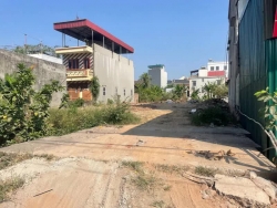 Thị trường bất động sản 6 tháng đầu năm 2025: Đất nền hạ nhiệt, bước vào giai đoạn thận trọng