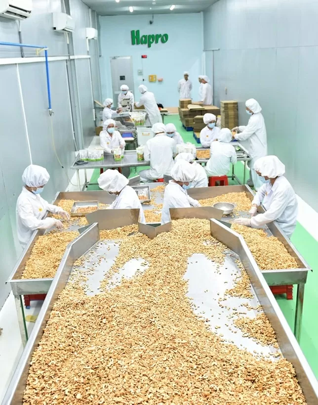 HAPRO và hành trình đưa Thương hiệu quốc gia Việt Nam ra toàn cầu