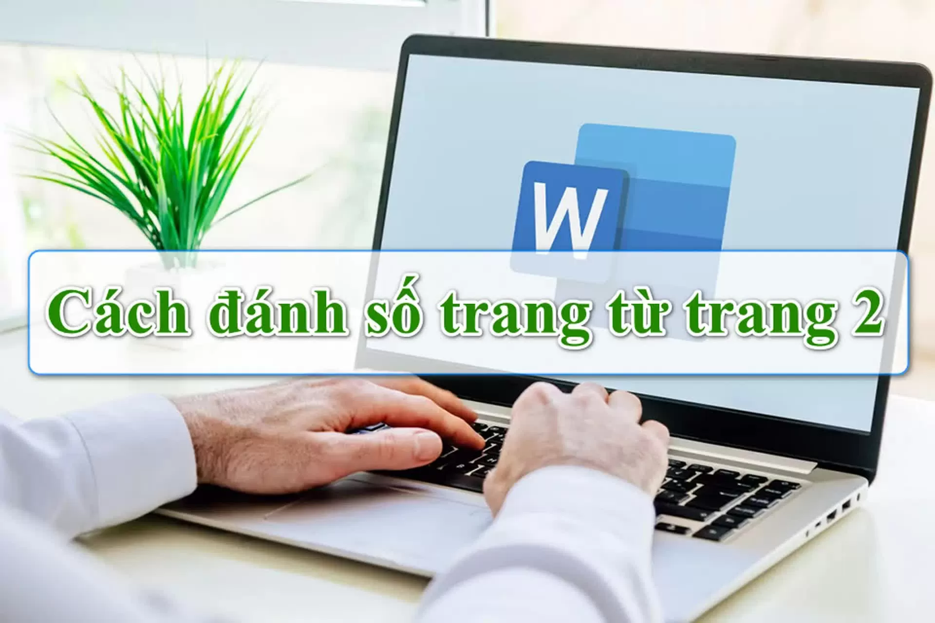 Cách bắt đầu đánh số trang từ trang 2 trong Word mà không làm lệch bố cục
