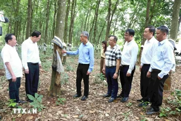 Vietnam strengthens investment and economic ties in northeastern Cambodia