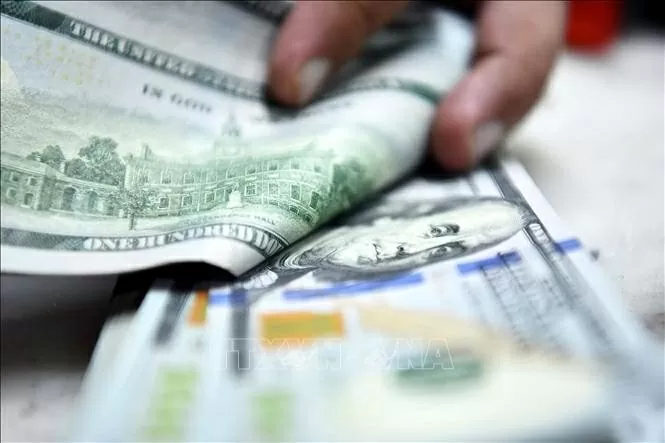 The State Bank of Vietnam sets the daily reference exchange at 25,240 VND/USD on August 14 (Photo: VNA)