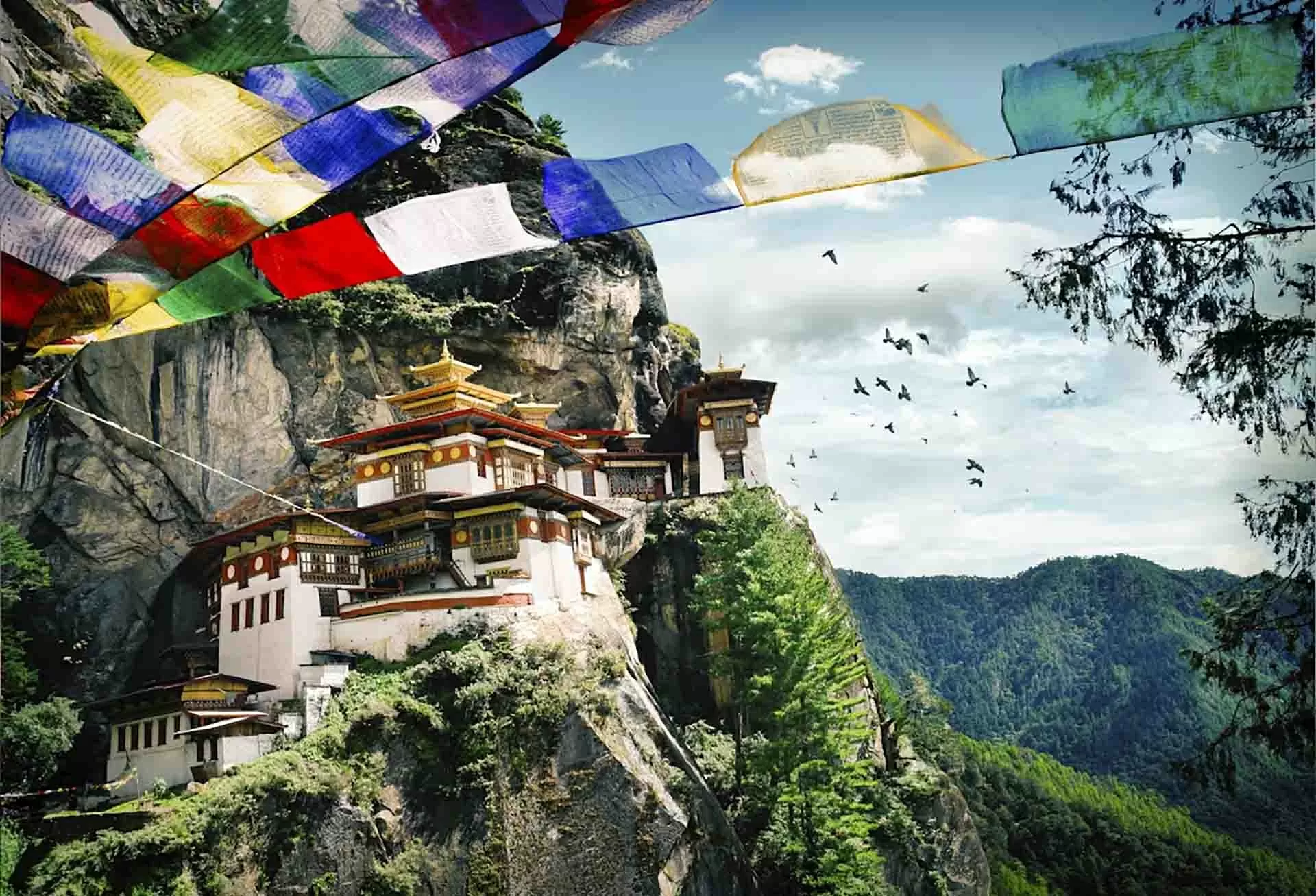 Hạnh phúc xanh trên dãy Himalaya Hạnh phúc xanh trên dãy Himalaya