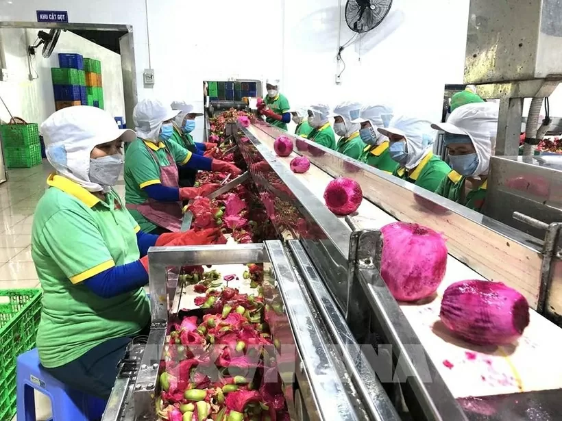 Diversifying markets &ndash; key for agricultural product exports to achieve yearly target: experts